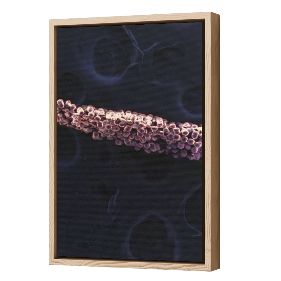 Thumbnail for Canvas - Wood Grain Floating Frame