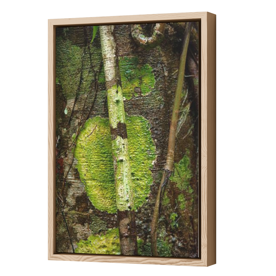Thumbnail for Canvas - Wood Grain Floating Frame
