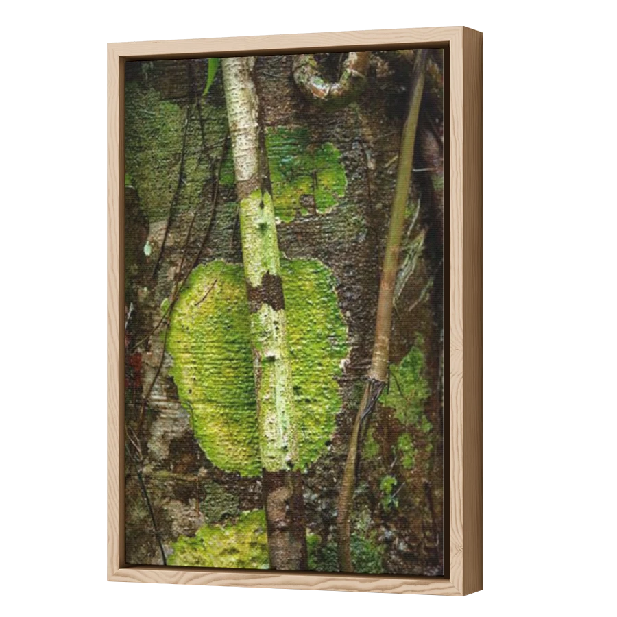 Thumbnail for Canvas - Wood Grain Floating Frame