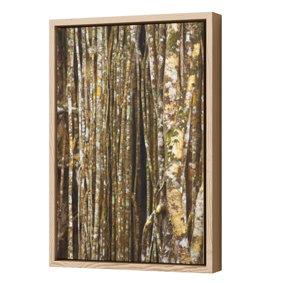 Thumbnail for Canvas - Wood Grain Floating Frame