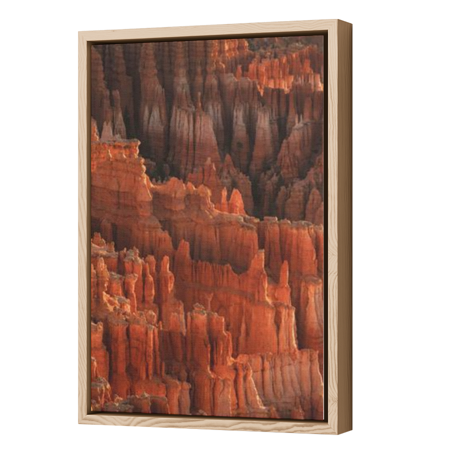 Thumbnail for Canvas - Wood Grain Floating Frame