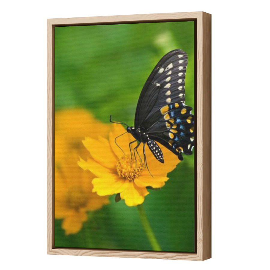 Thumbnail for Canvas - Wood Grain Floating Frame