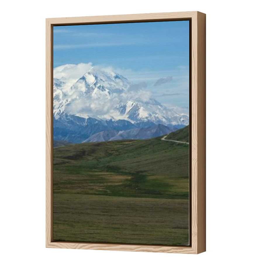Thumbnail for Canvas - Wood Grain Floating Frame