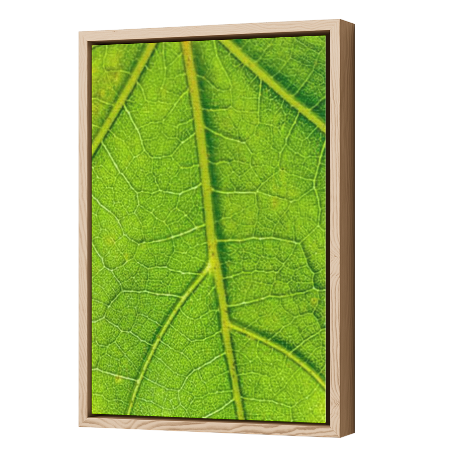 Thumbnail for Canvas - Wood Grain Floating Frame