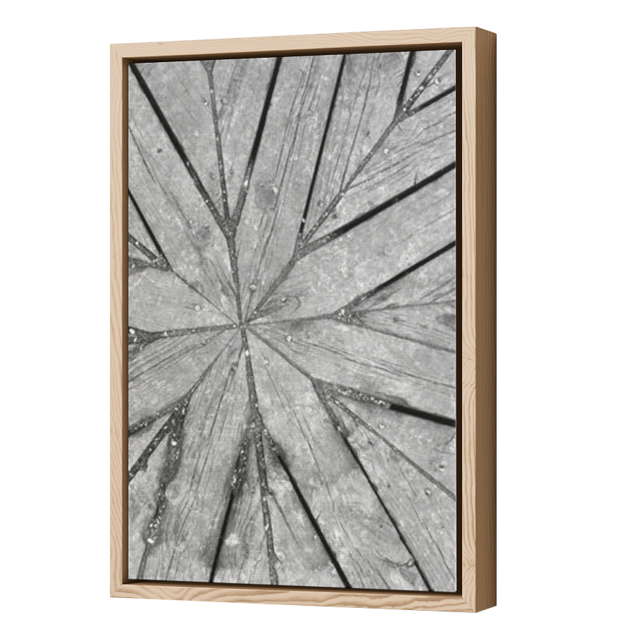 Thumbnail for Canvas - Wood Grain Floating Frame