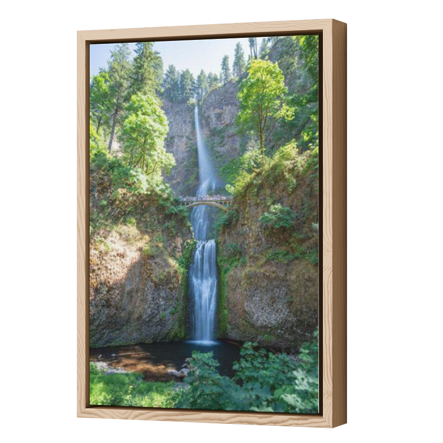 Thumbnail for Canvas - Wood Grain Floating Frame