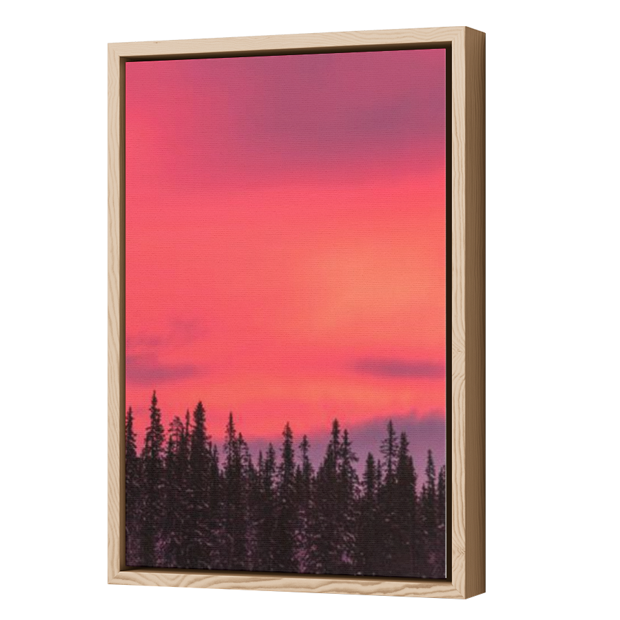 Thumbnail for Canvas - Wood Grain Floating Frame
