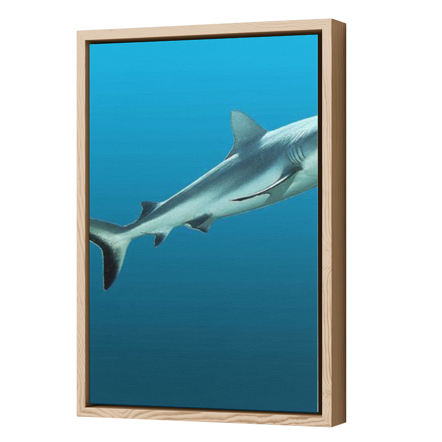 Thumbnail for Canvas - Wood Grain Floating Frame