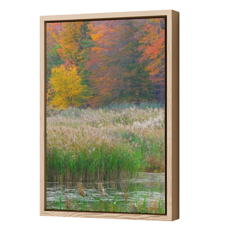 Thumbnail for Canvas - Wood Grain Floating Frame