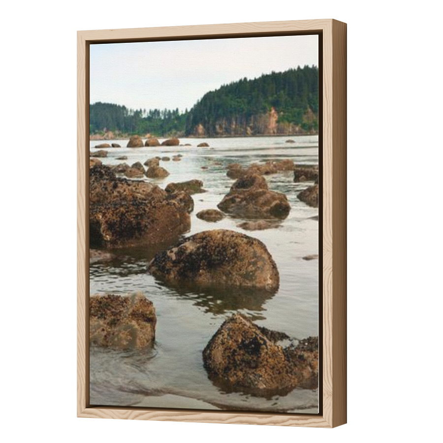 Thumbnail for Canvas - Wood Grain Floating Frame