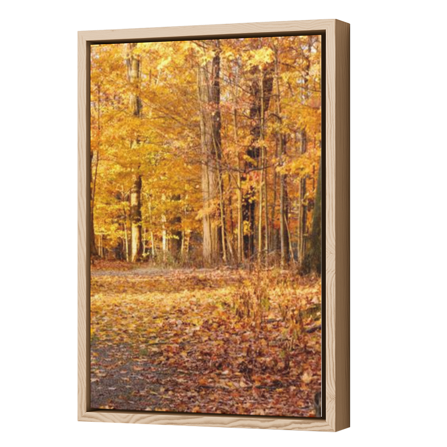 Thumbnail for Canvas - Wood Grain Floating Frame