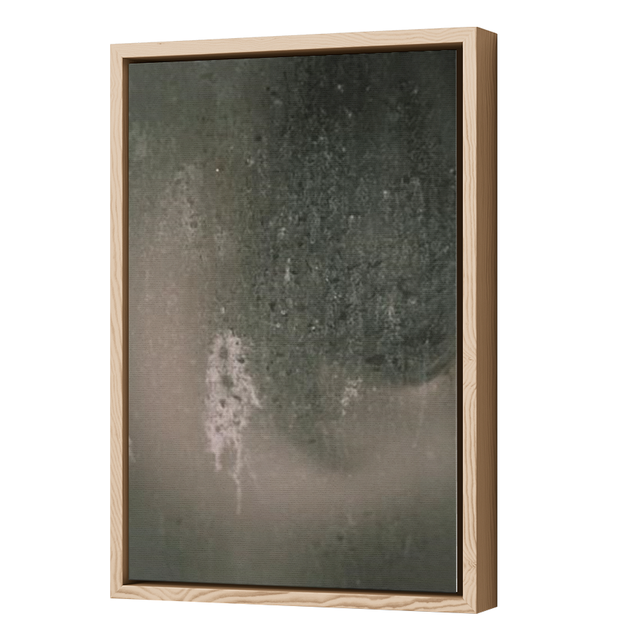 Thumbnail for Canvas - Wood Grain Floating Frame