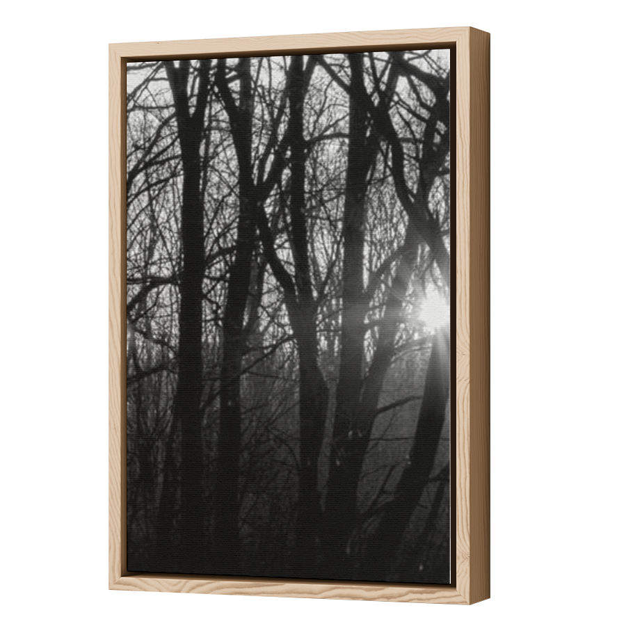 Thumbnail for Canvas - Wood Grain Floating Frame