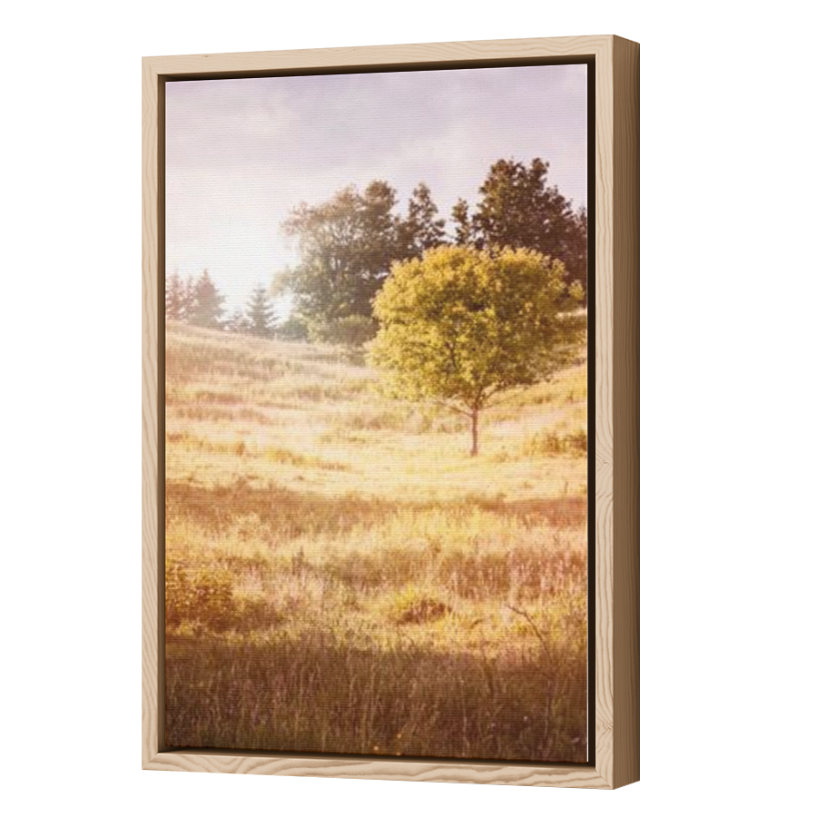 Thumbnail for Canvas - Wood Grain Floating Frame