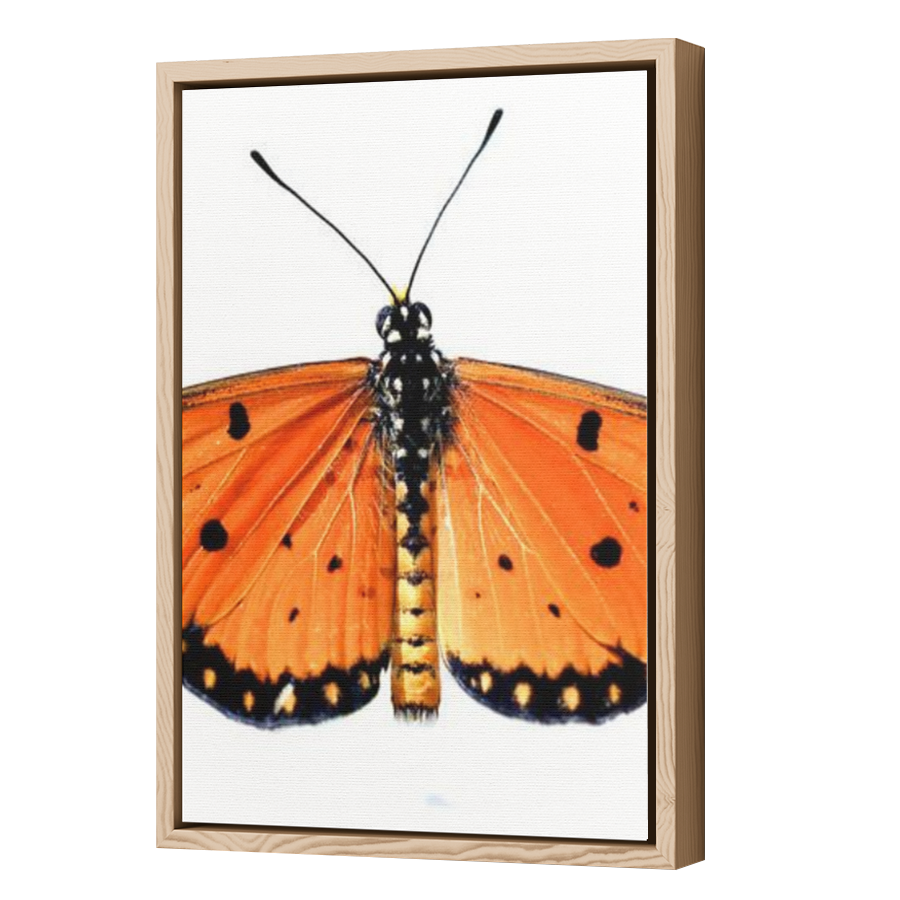 Thumbnail for Canvas - Wood Grain Floating Frame