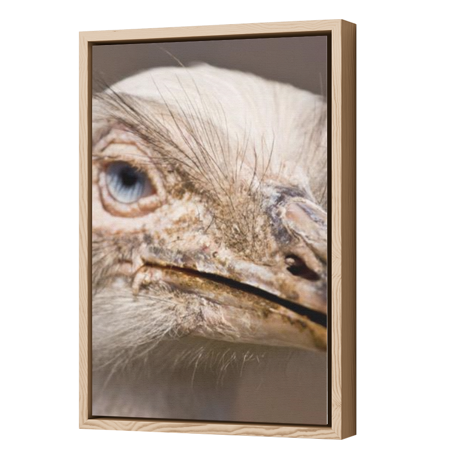 Thumbnail for Canvas - Wood Grain Floating Frame