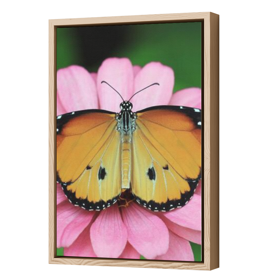 Thumbnail for Canvas - Wood Grain Floating Frame