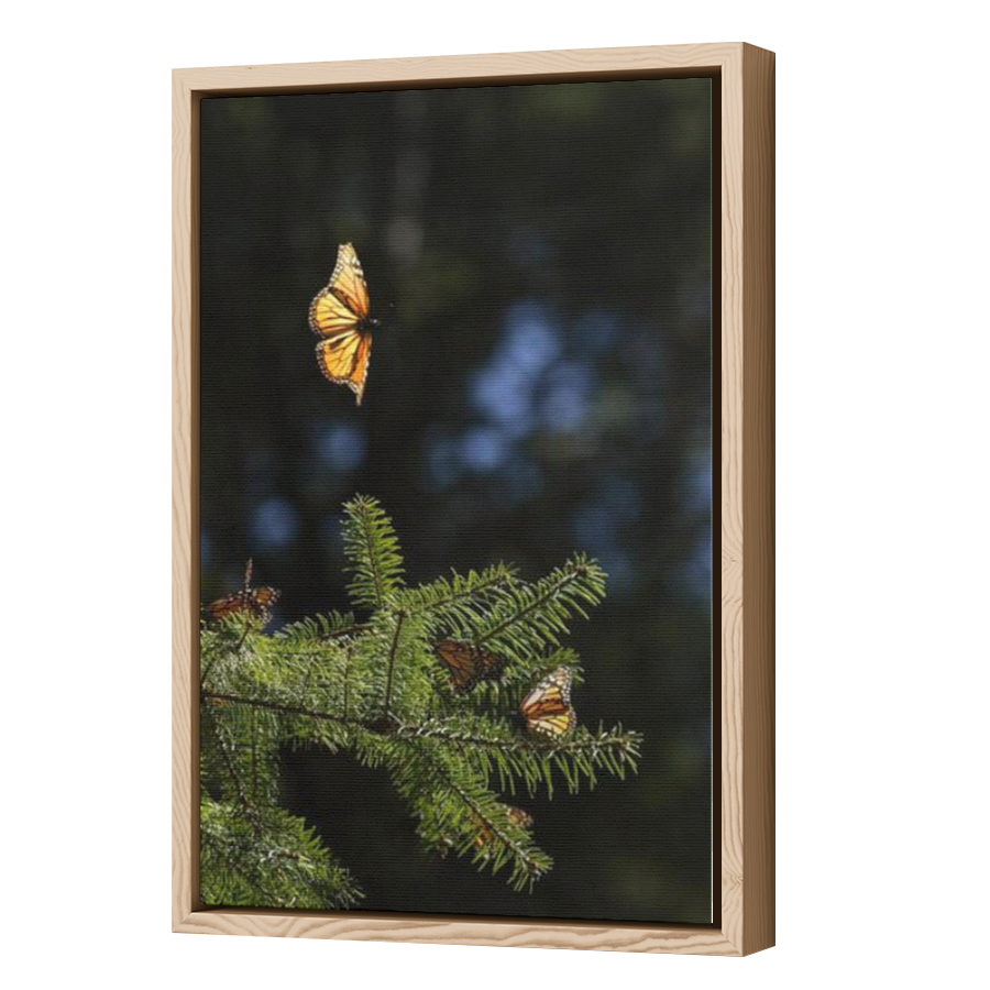 Thumbnail for Canvas - Wood Grain Floating Frame