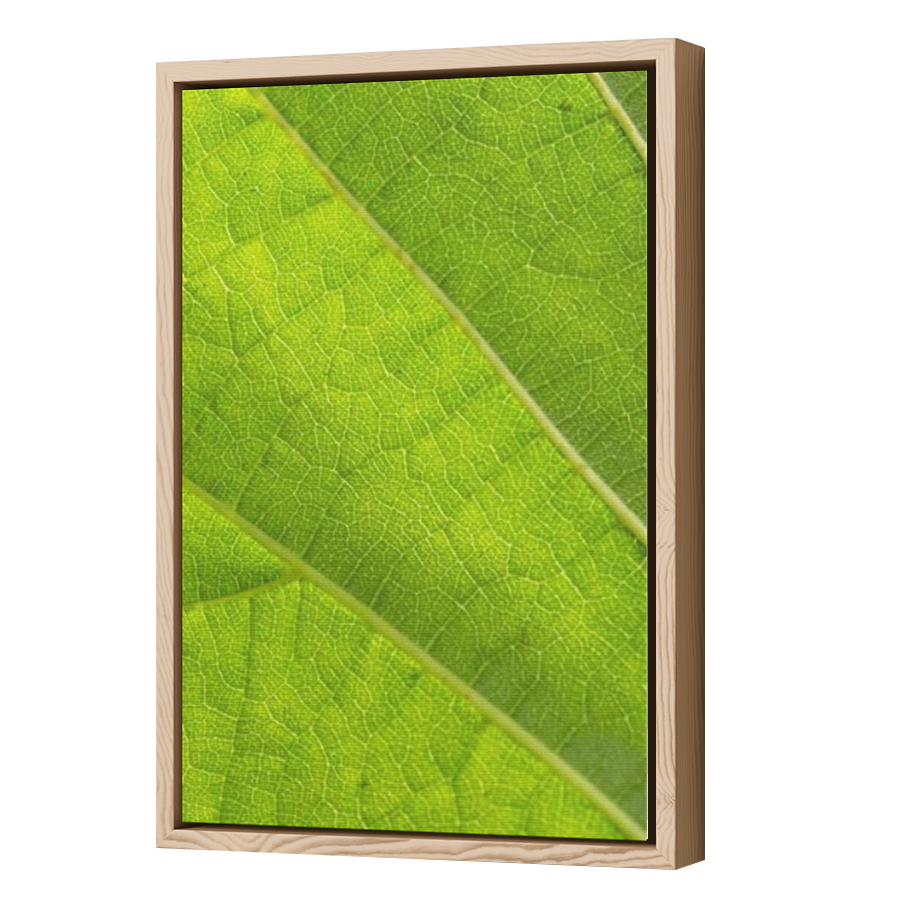 Thumbnail for Canvas - Wood Grain Floating Frame