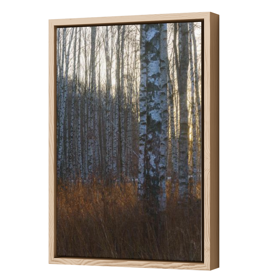 Thumbnail for Canvas - Wood Grain Floating Frame