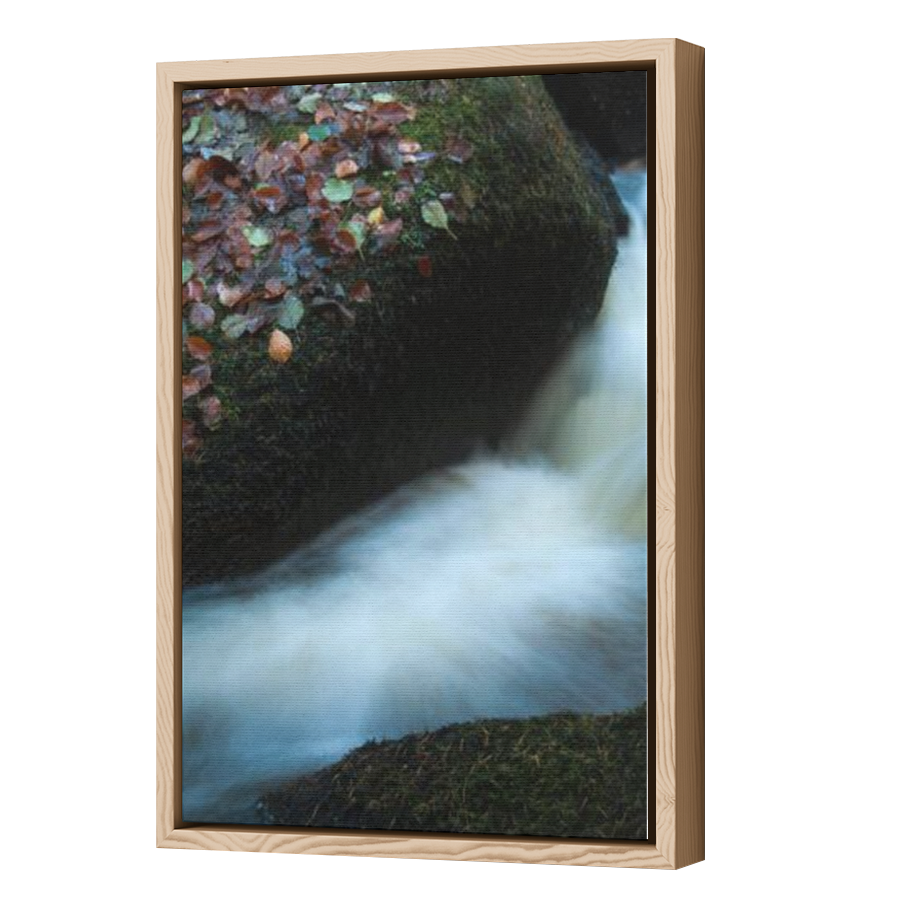 Thumbnail for Canvas - Wood Grain Floating Frame