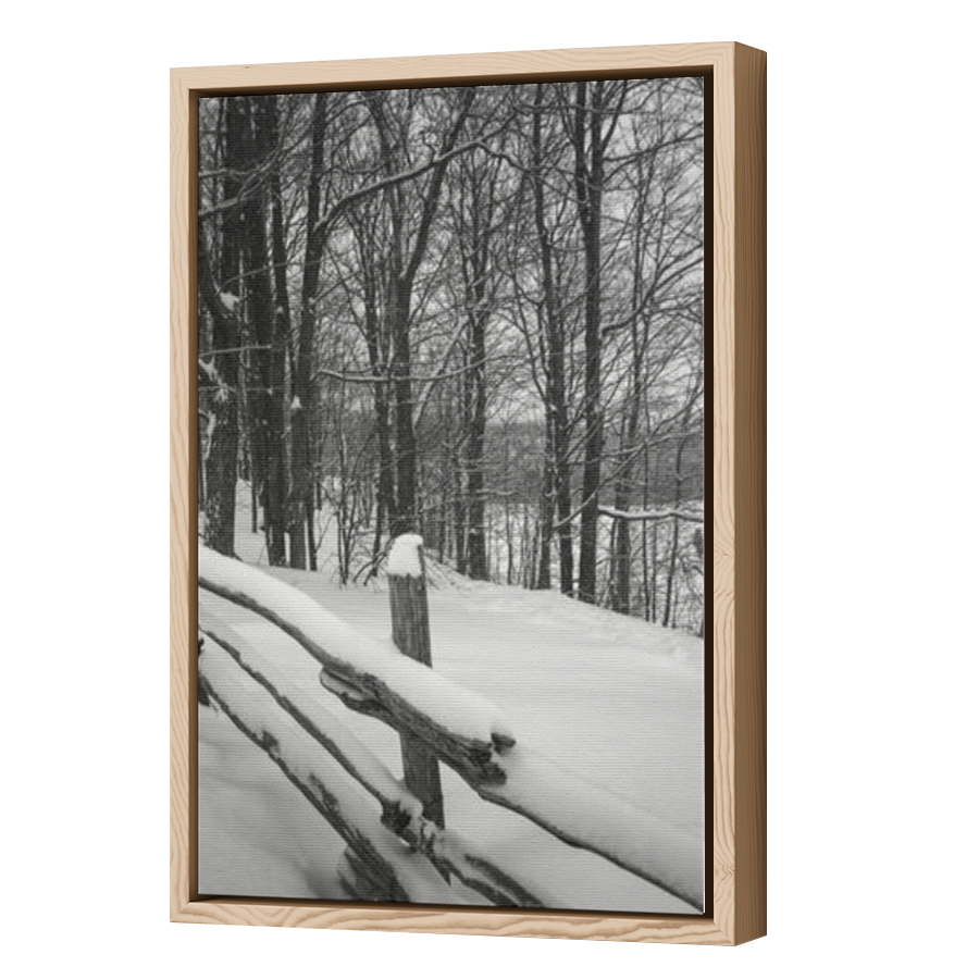 Thumbnail for Canvas - Wood Grain Floating Frame
