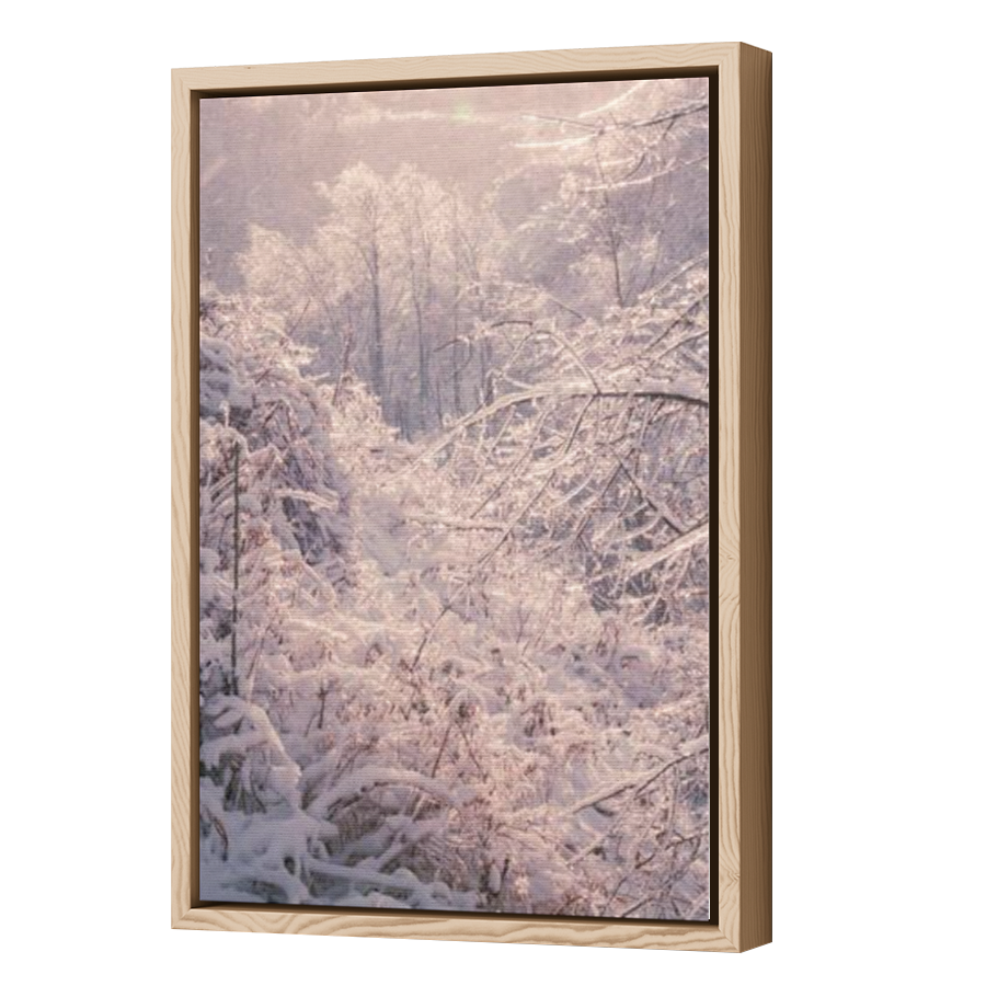 Thumbnail for Canvas - Wood Grain Floating Frame