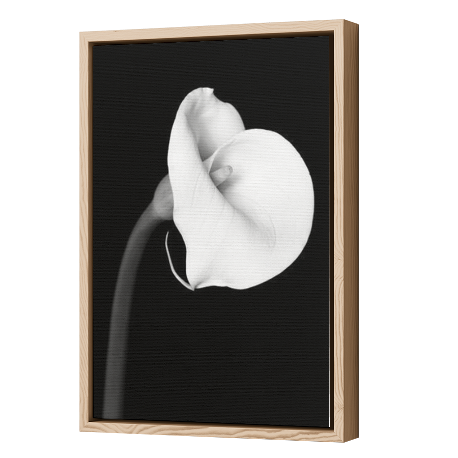 Thumbnail for Canvas - Wood Grain Floating Frame