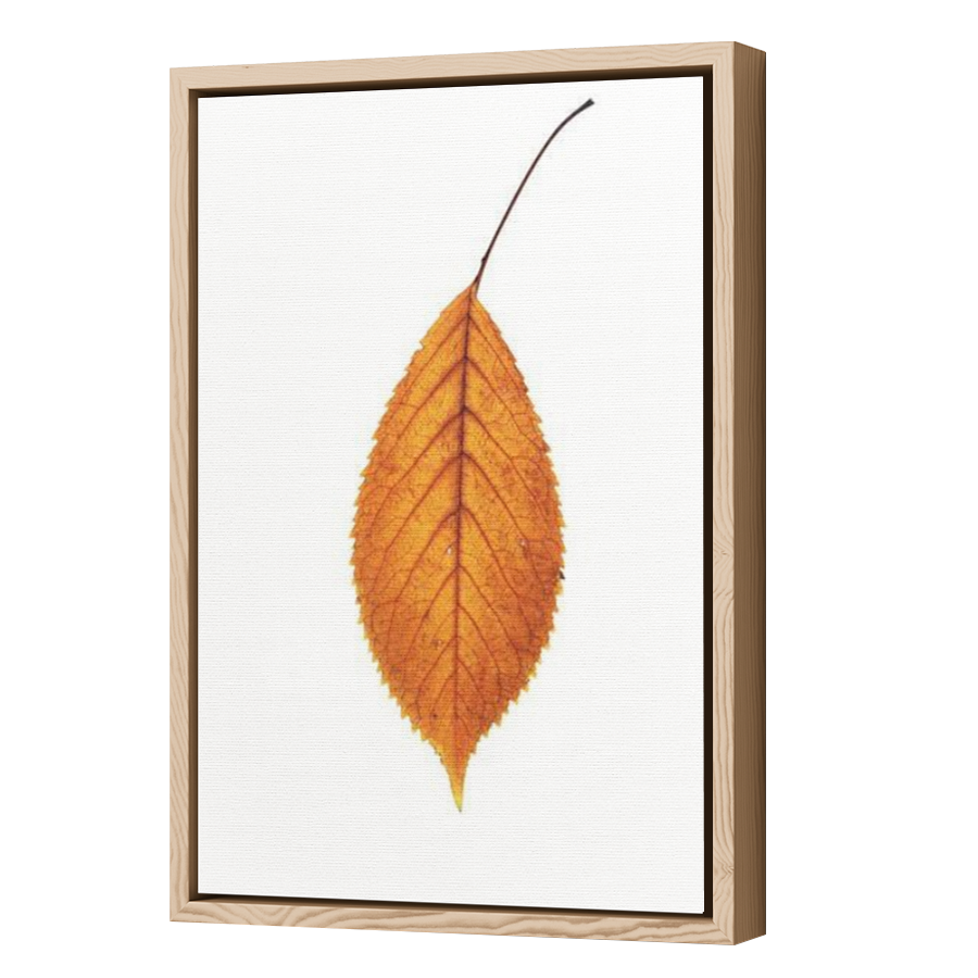 Thumbnail for Canvas - Wood Grain Floating Frame