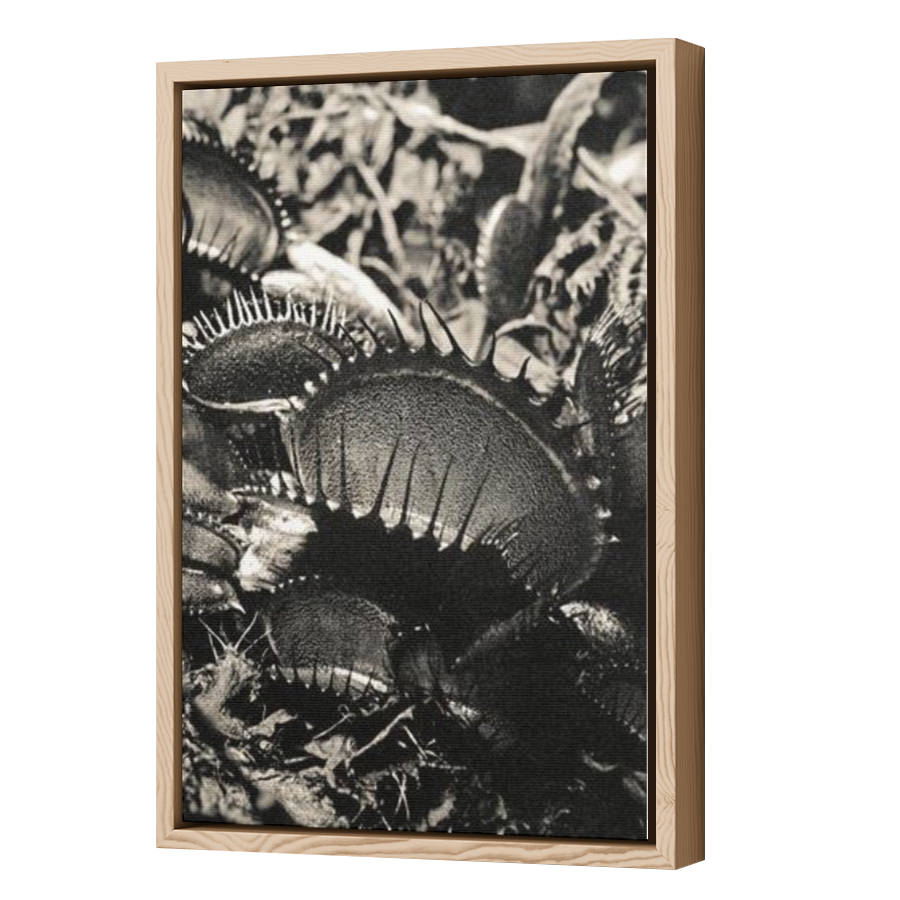 Thumbnail for Canvas - Wood Grain Floating Frame