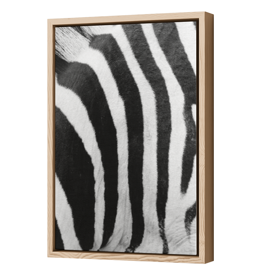 Thumbnail for Canvas - Wood Grain Floating Frame