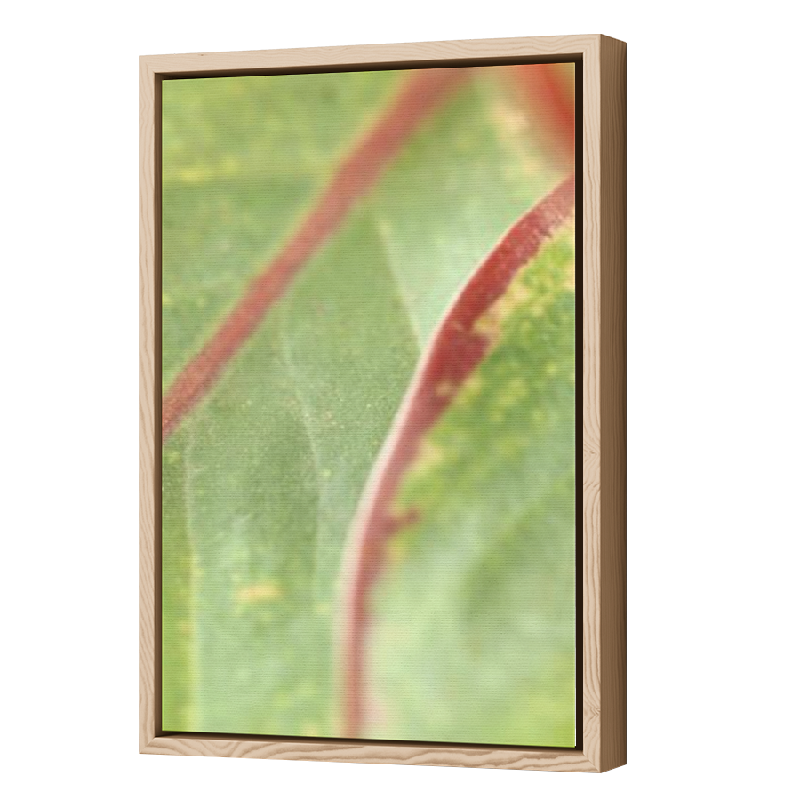 Thumbnail for Canvas - Wood Grain Floating Frame