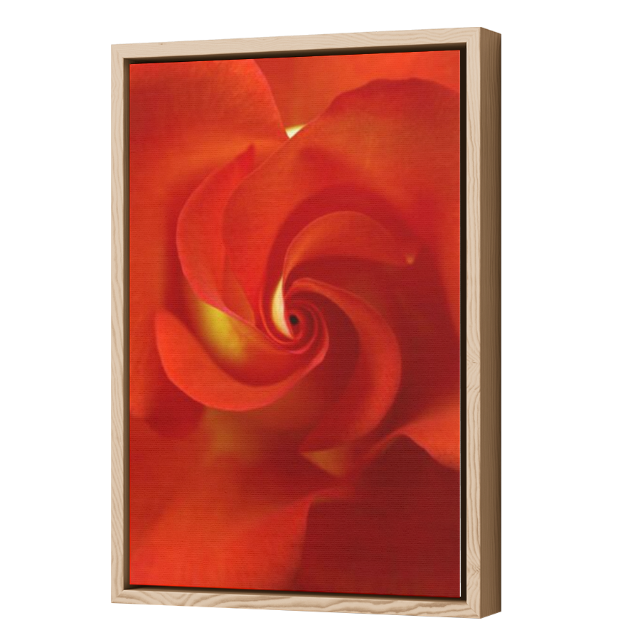 Thumbnail for Canvas - Wood Grain Floating Frame