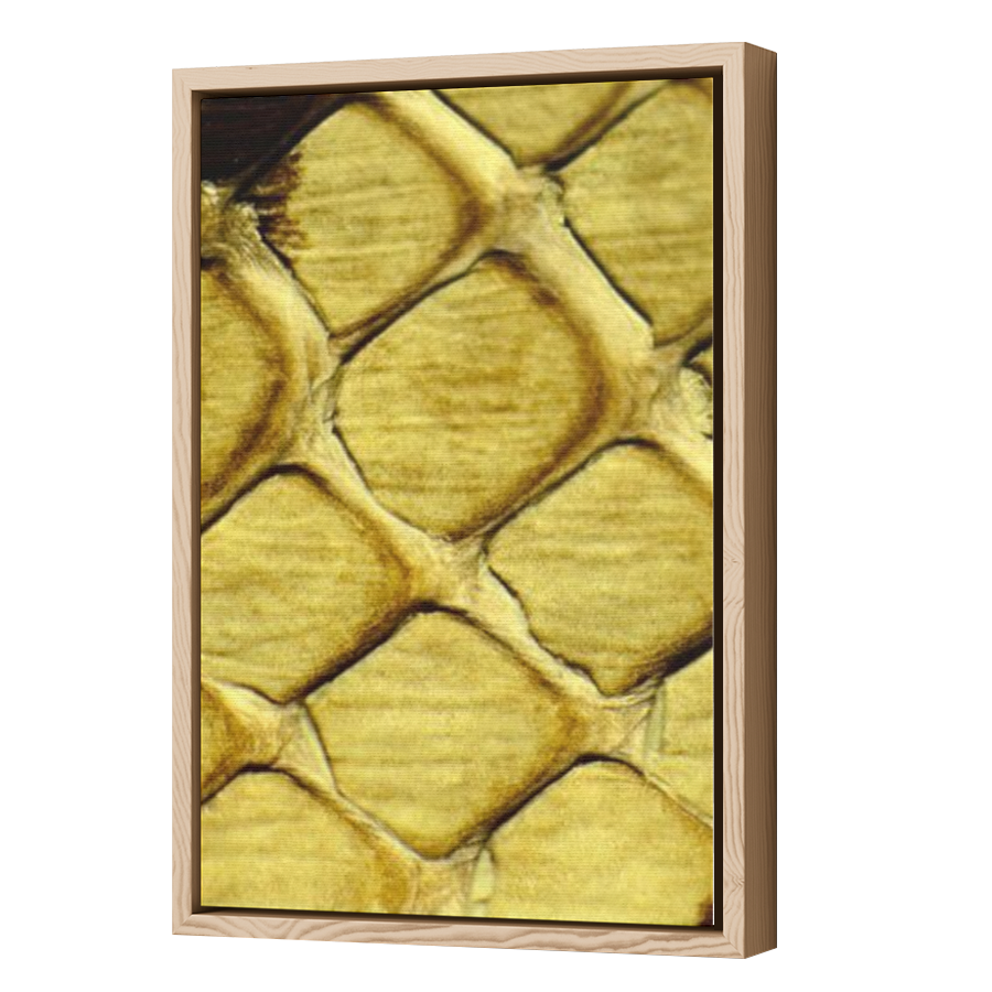 Thumbnail for Canvas - Wood Grain Floating Frame