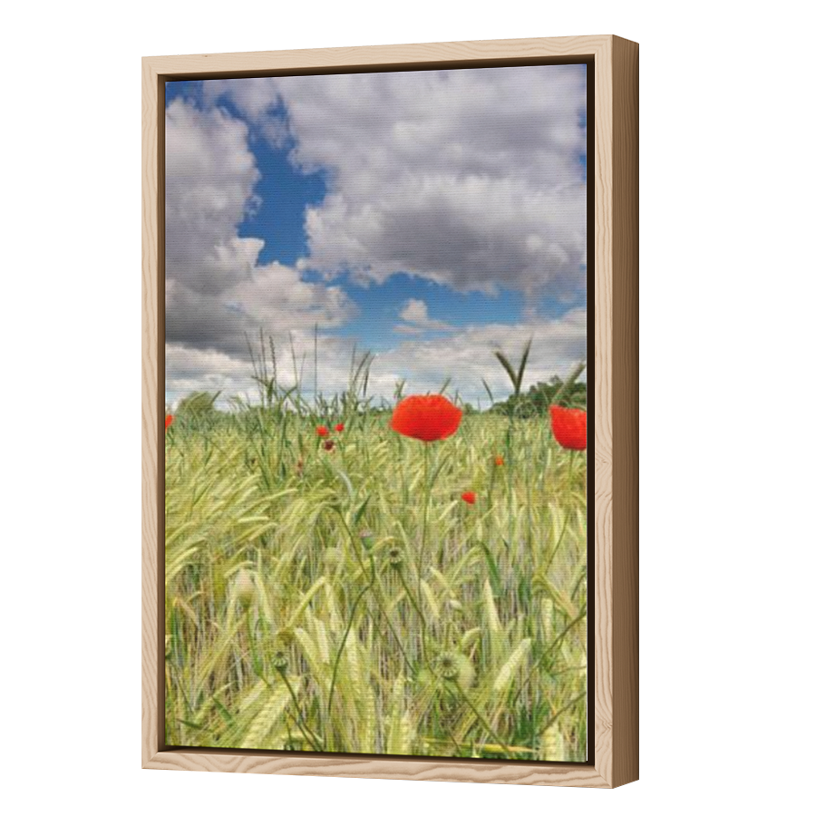 Thumbnail for Canvas - Wood Grain Floating Frame