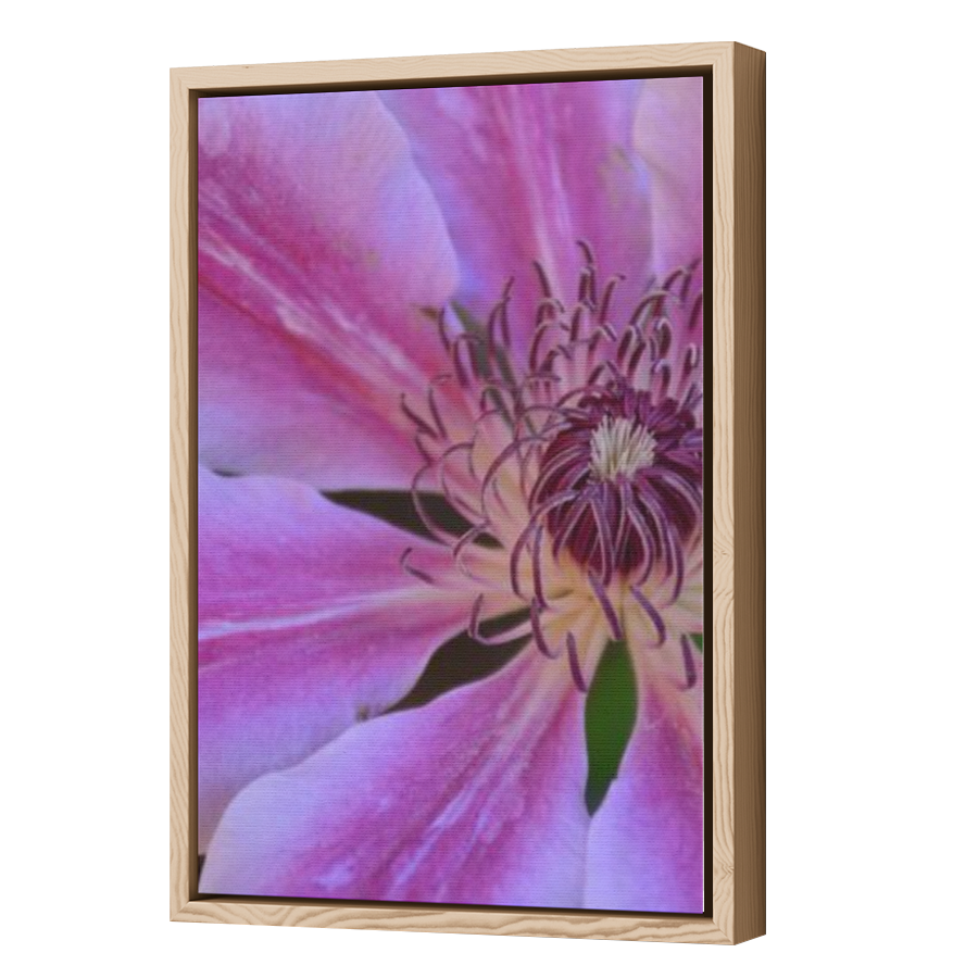 Thumbnail for Canvas - Wood Grain Floating Frame