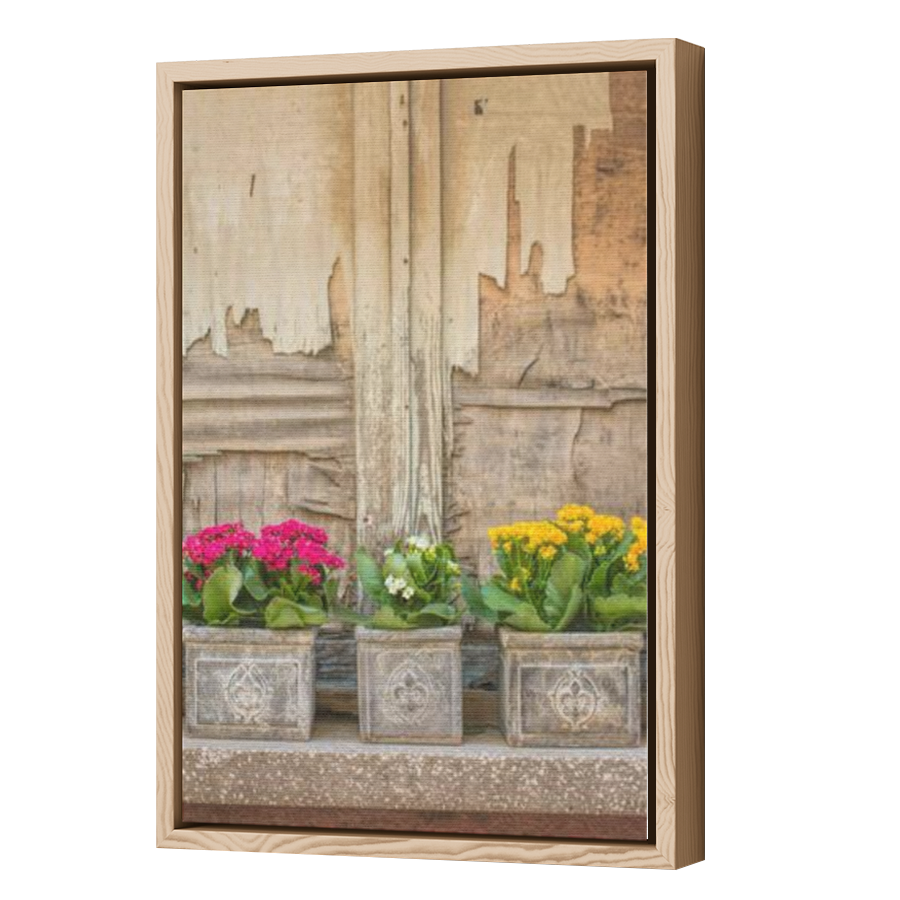 Thumbnail for Canvas - Wood Grain Floating Frame
