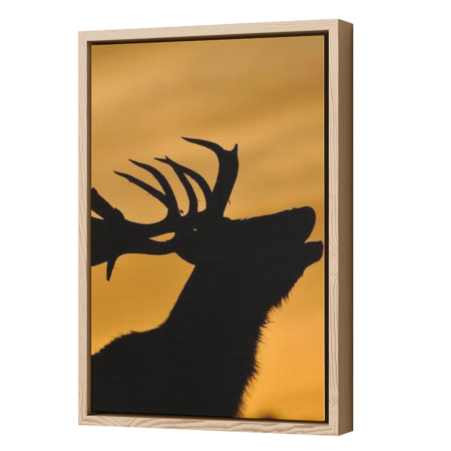 Thumbnail for Canvas - Wood Grain Floating Frame