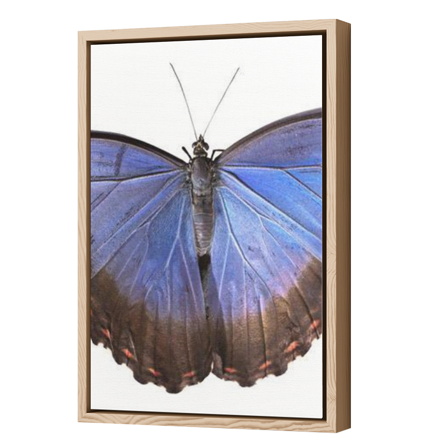 Thumbnail for Canvas - Wood Grain Floating Frame
