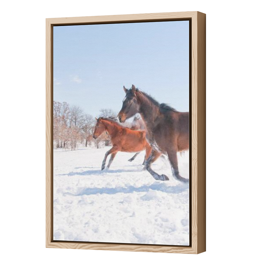 Thumbnail for Canvas - Wood Grain Floating Frame