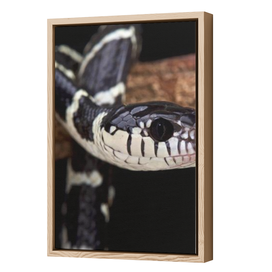 Thumbnail for Canvas - Wood Grain Floating Frame
