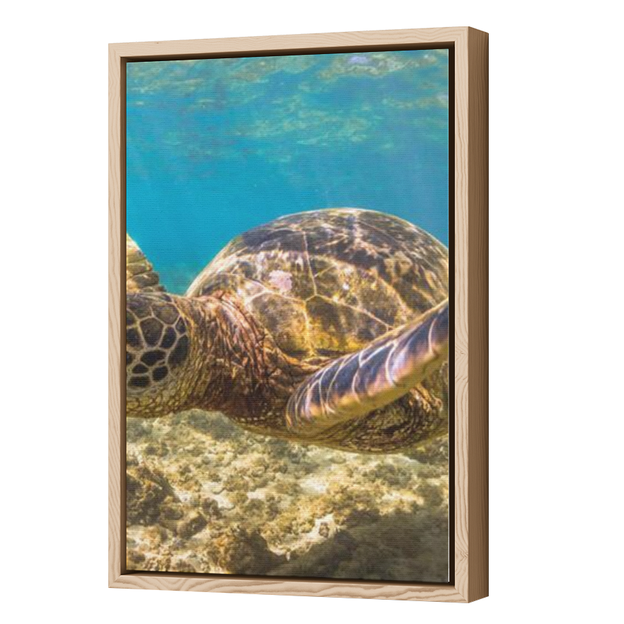 Thumbnail for Canvas - Wood Grain Floating Frame