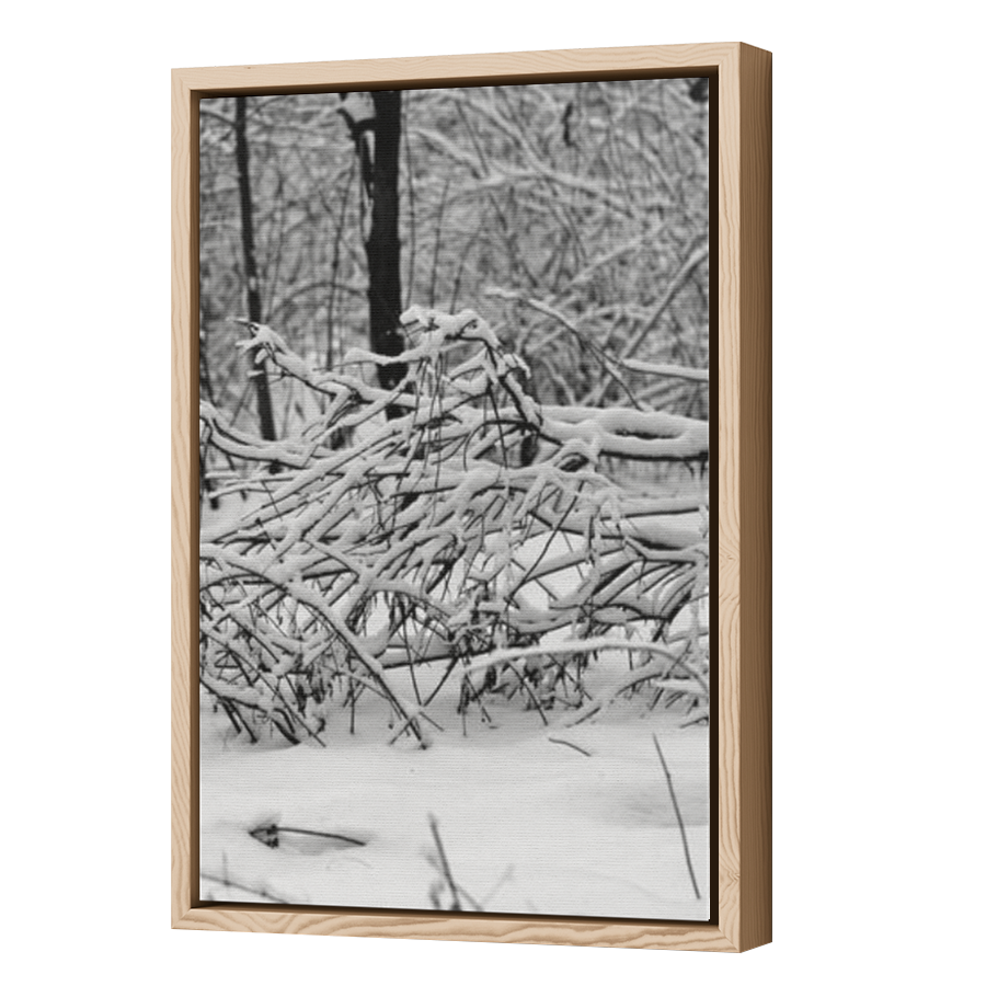 Thumbnail for Canvas - Wood Grain Floating Frame