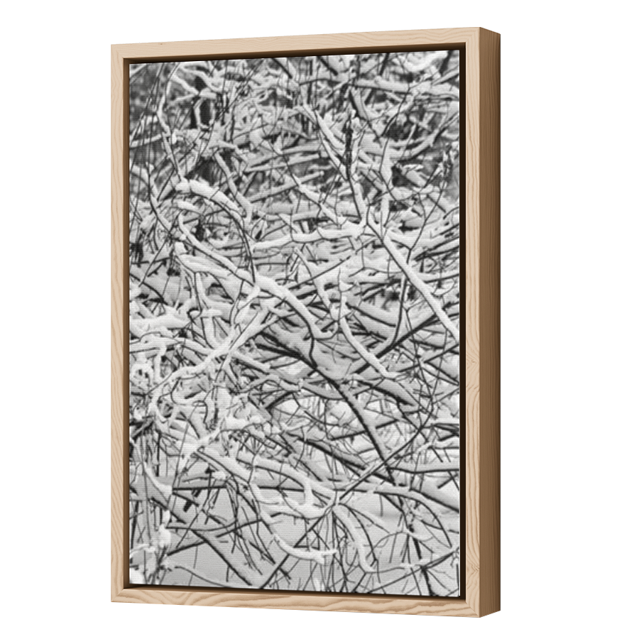 Thumbnail for Canvas - Wood Grain Floating Frame