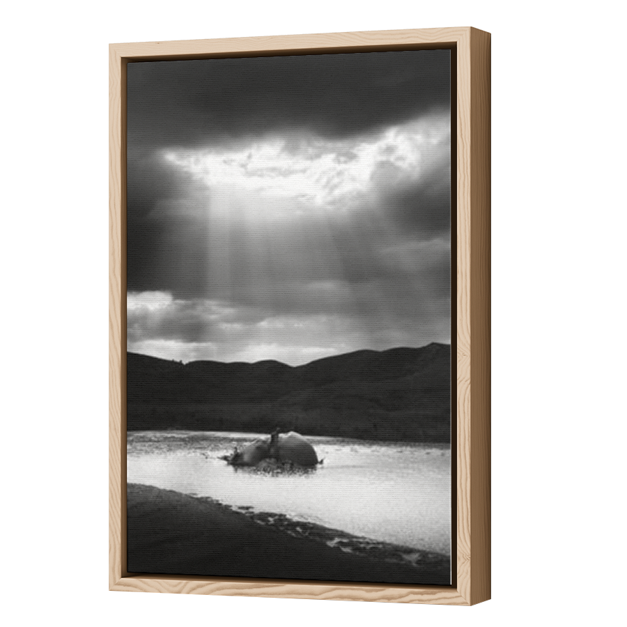 Thumbnail for Canvas - Wood Grain Floating Frame