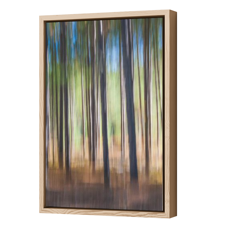 Thumbnail for Canvas - Wood Grain Floating Frame