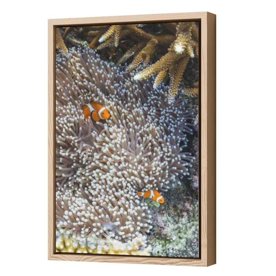 Thumbnail for Canvas - Wood Grain Floating Frame