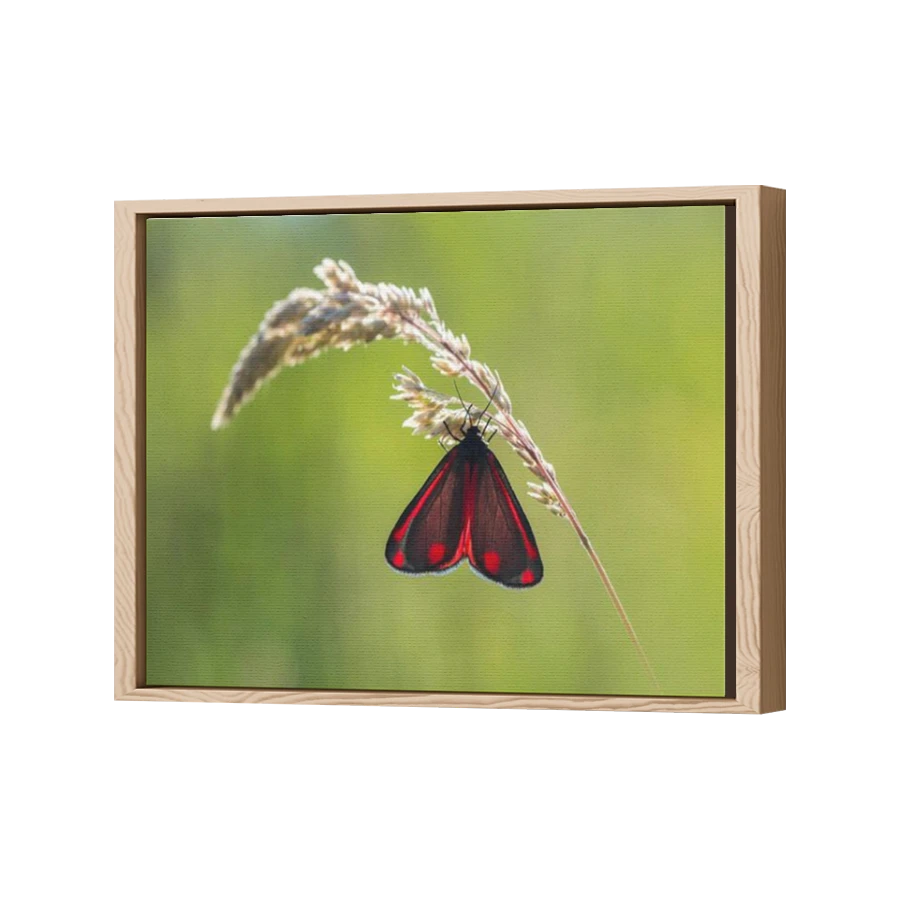 Thumbnail for Canvas - Wood Grain Floating Frame