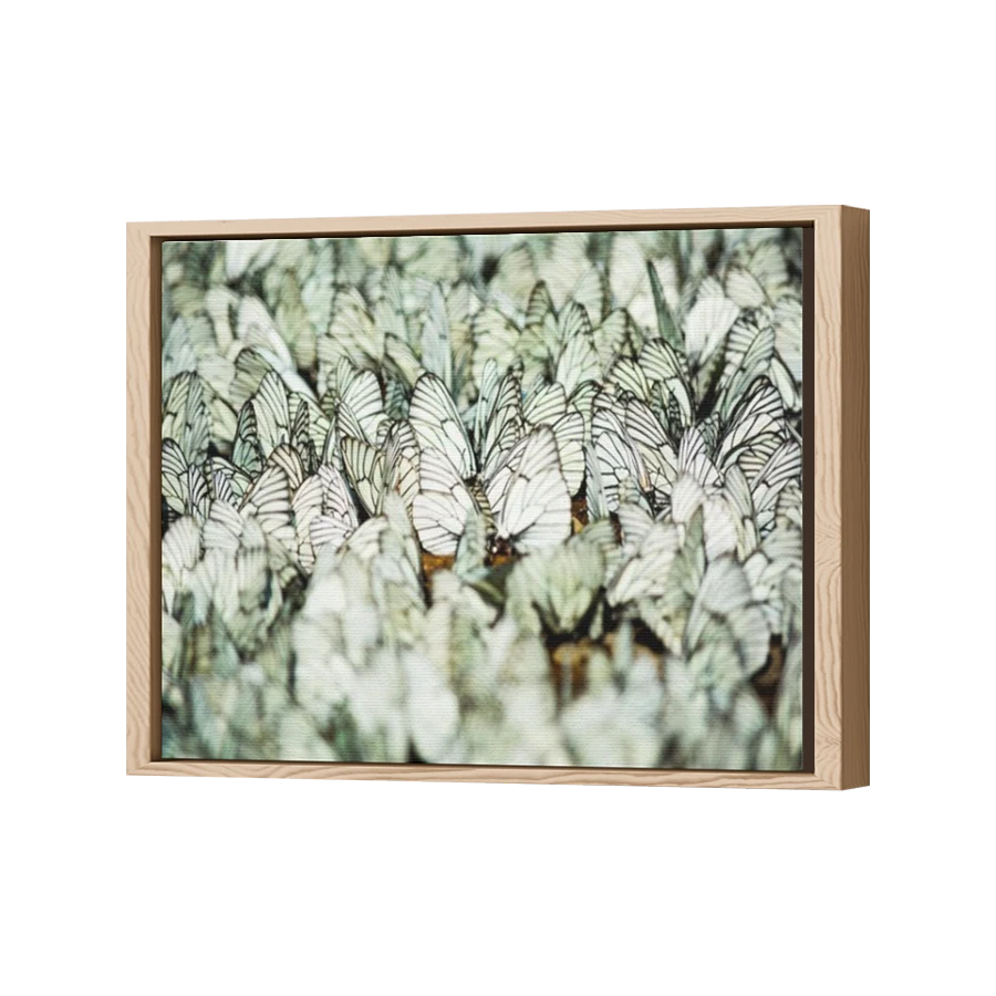 Thumbnail for Canvas - Wood Grain Floating Frame