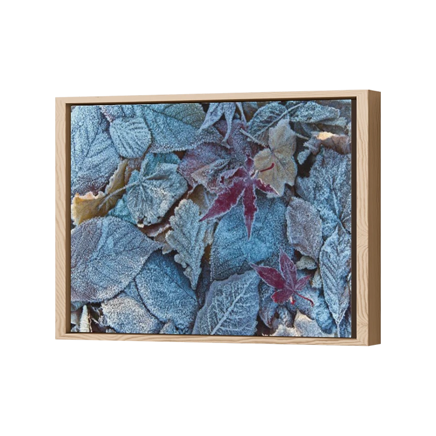 Thumbnail for Canvas - Wood Grain Floating Frame